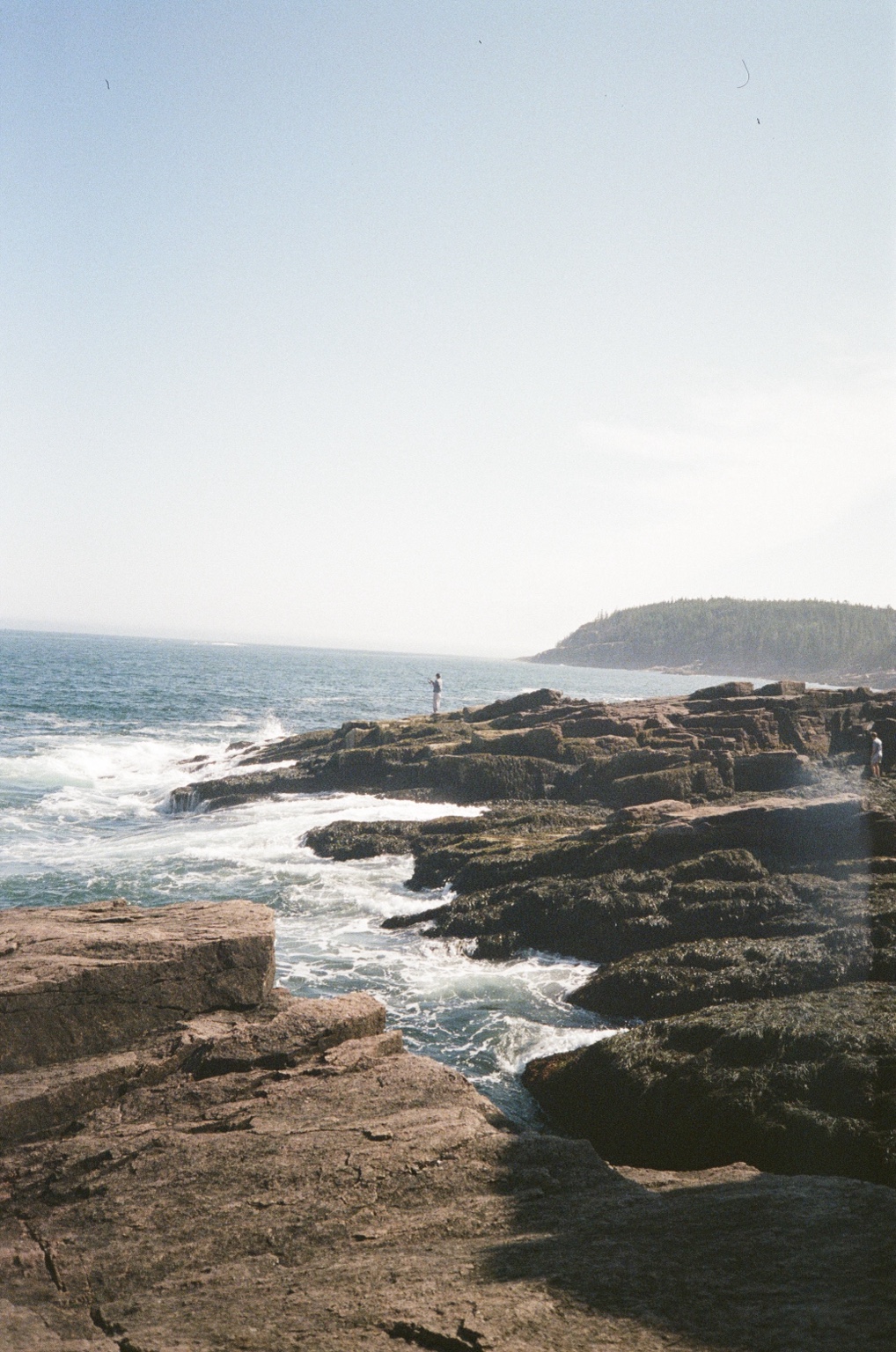 Bar Harbour, August 2026